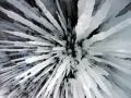 Icicles