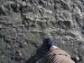 Silty Water