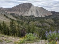 IMG_20200816_144534