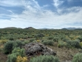 praire with cinder cones