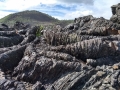 twisty lava beds