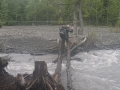 Crossing a creek on two logs