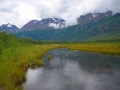 Eagle River marsh