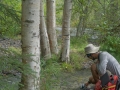 Joey filling up at "dishwater creek"