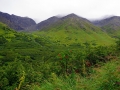 Green mountains belows Crow Pass