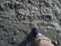 Silty Water