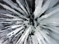 Icicles