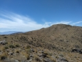 quail mountain