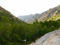 looking down lamoille canyon