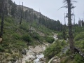 heading up trail creek trail