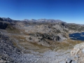 Whitebark Pass View