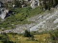 Nancy Pass