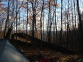 Campsite view