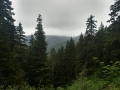 cloudy view